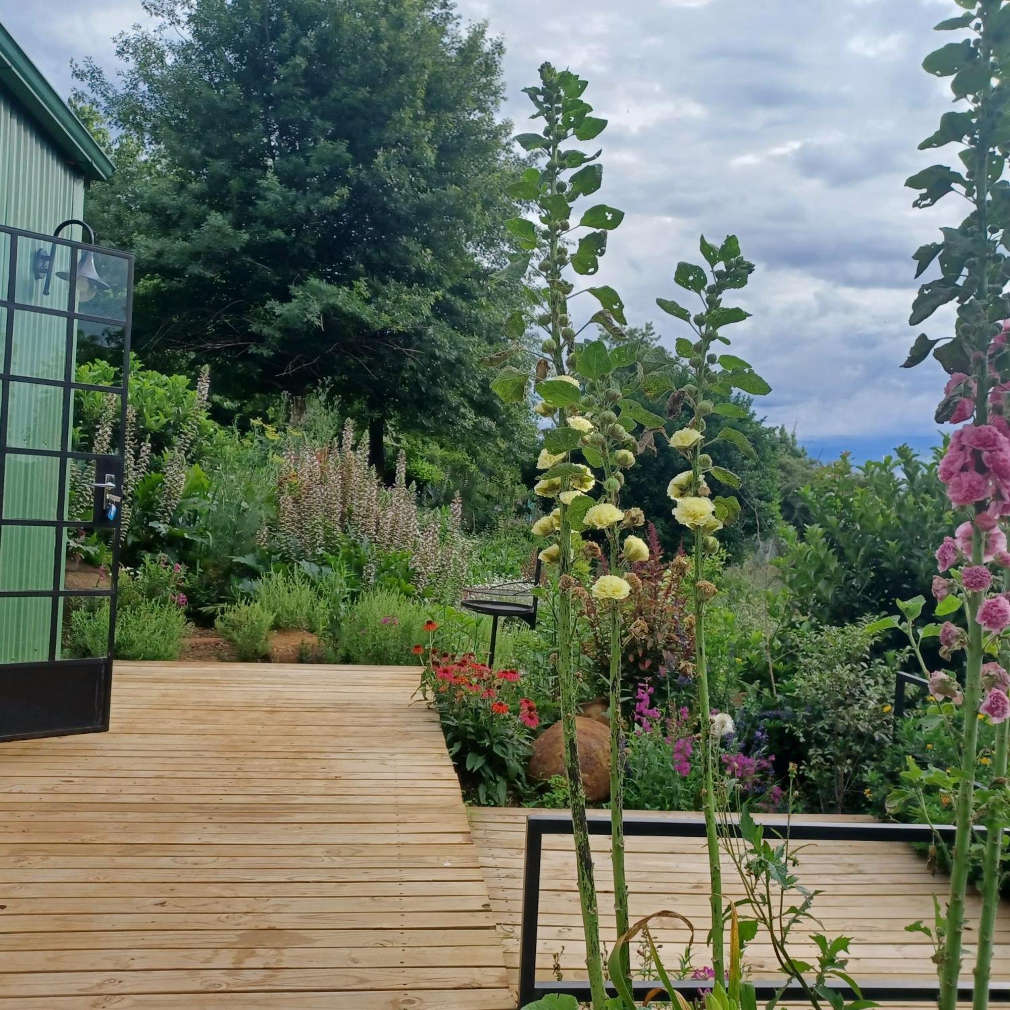 Little Fields Country House And Cottages Хоуик Екстериор снимка