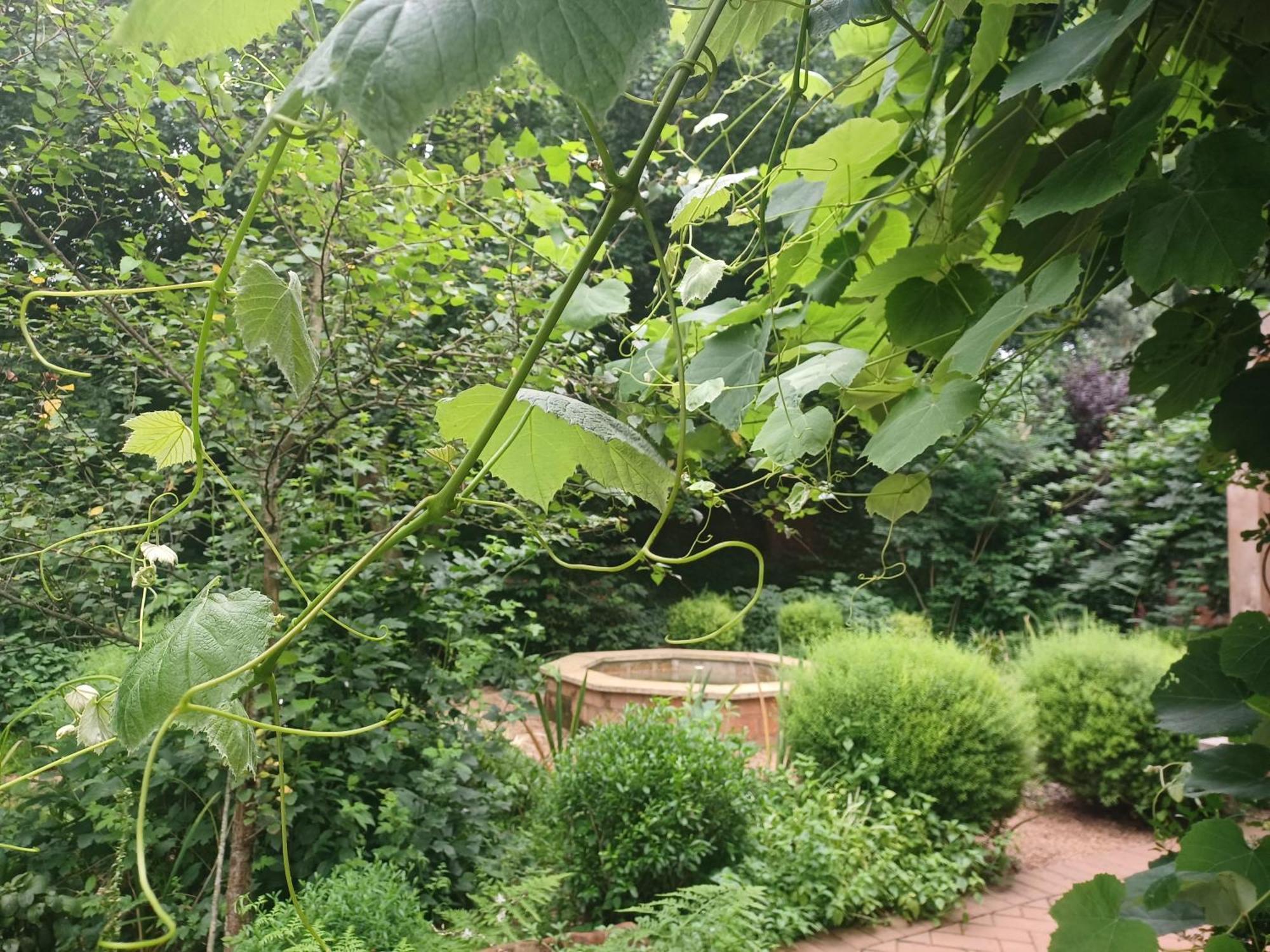Little Fields Country House And Cottages Хоуик Екстериор снимка