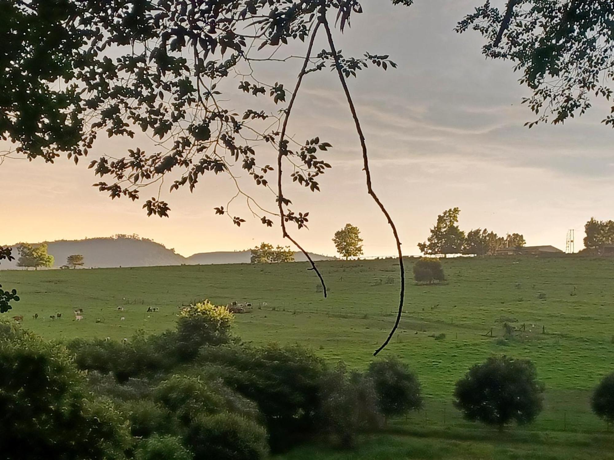 Little Fields Country House And Cottages Хоуик Екстериор снимка
